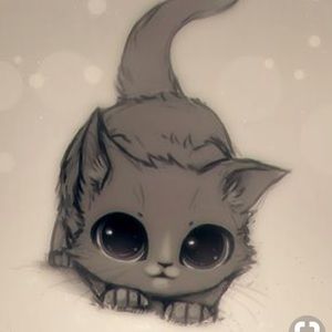 Meet your Posher, Clara